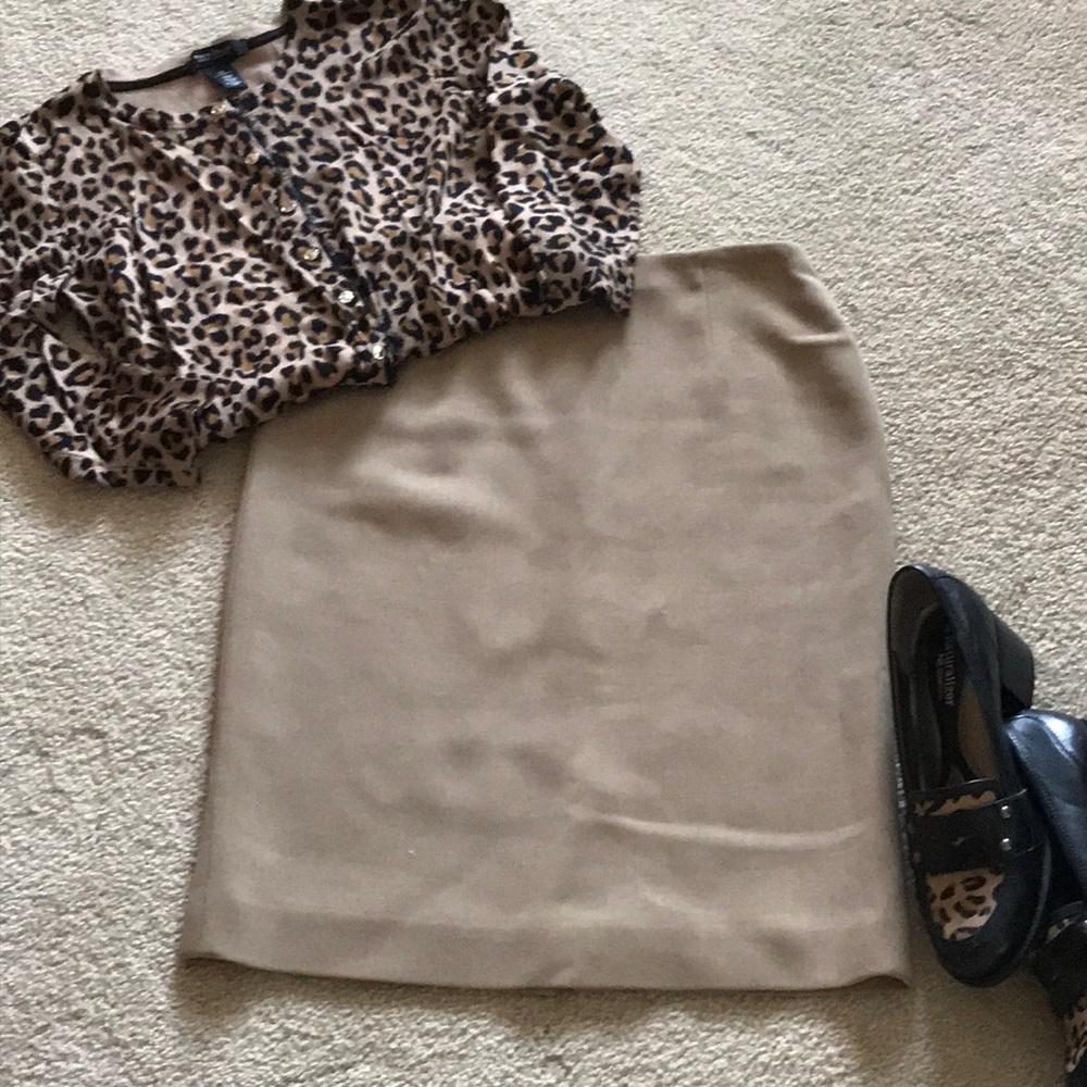 Ann Taylor pencil skirt